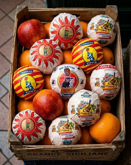 Papiers de fruits illustrés enveloppant des oranges et clémentines.