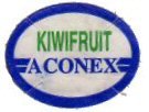 aconex kiwifruit
