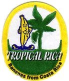 tropical rica bananas from  costa rica